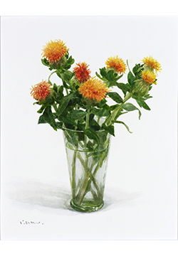 木原和敏　紅花