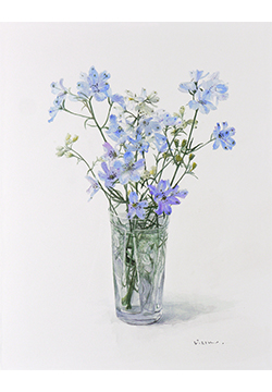 木原和敏　デルフィニウム